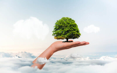 Tree Healthcare Demystified: Understanding the Arboreal Doctor